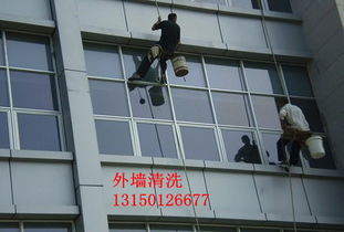 慶陽雅潔居家政保潔——專業保潔，品質之選